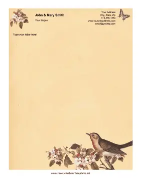 Vintage Birds Letterhead Letterhead Template